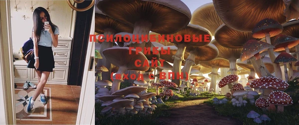 mix Богородск