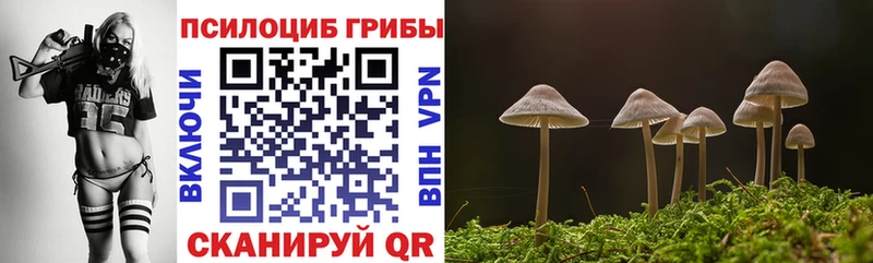 kraken рабочий сайт  купить   Малаховка  Галлюциногенные грибы Magic Shrooms 